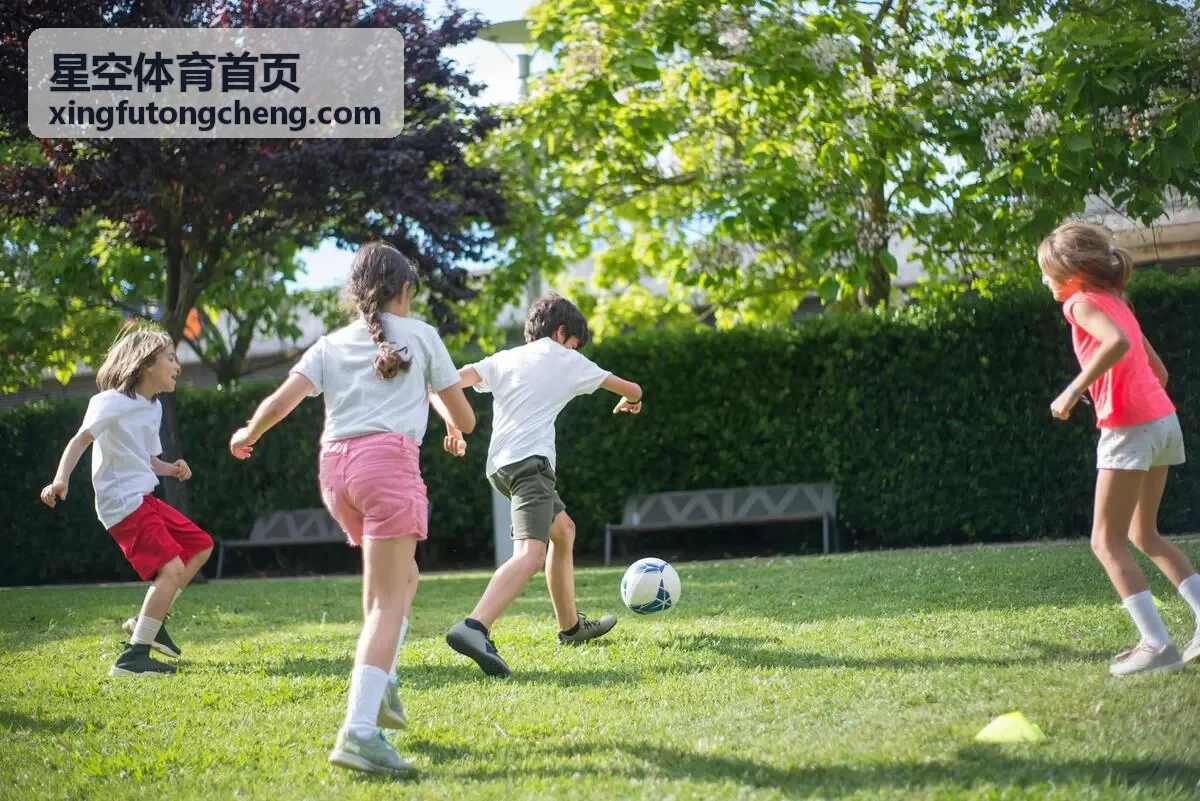 星空体育首页青少年训练场地时段预约